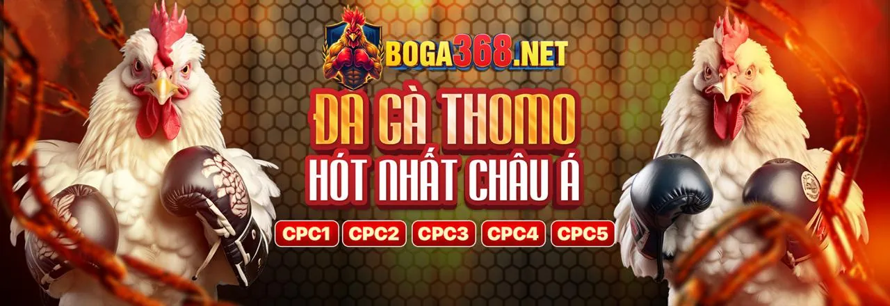 Đá gà trực tuyến sôi động tại ok8386